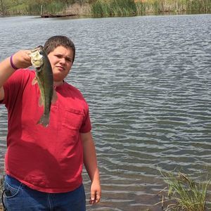 Meet your Posher, Logan